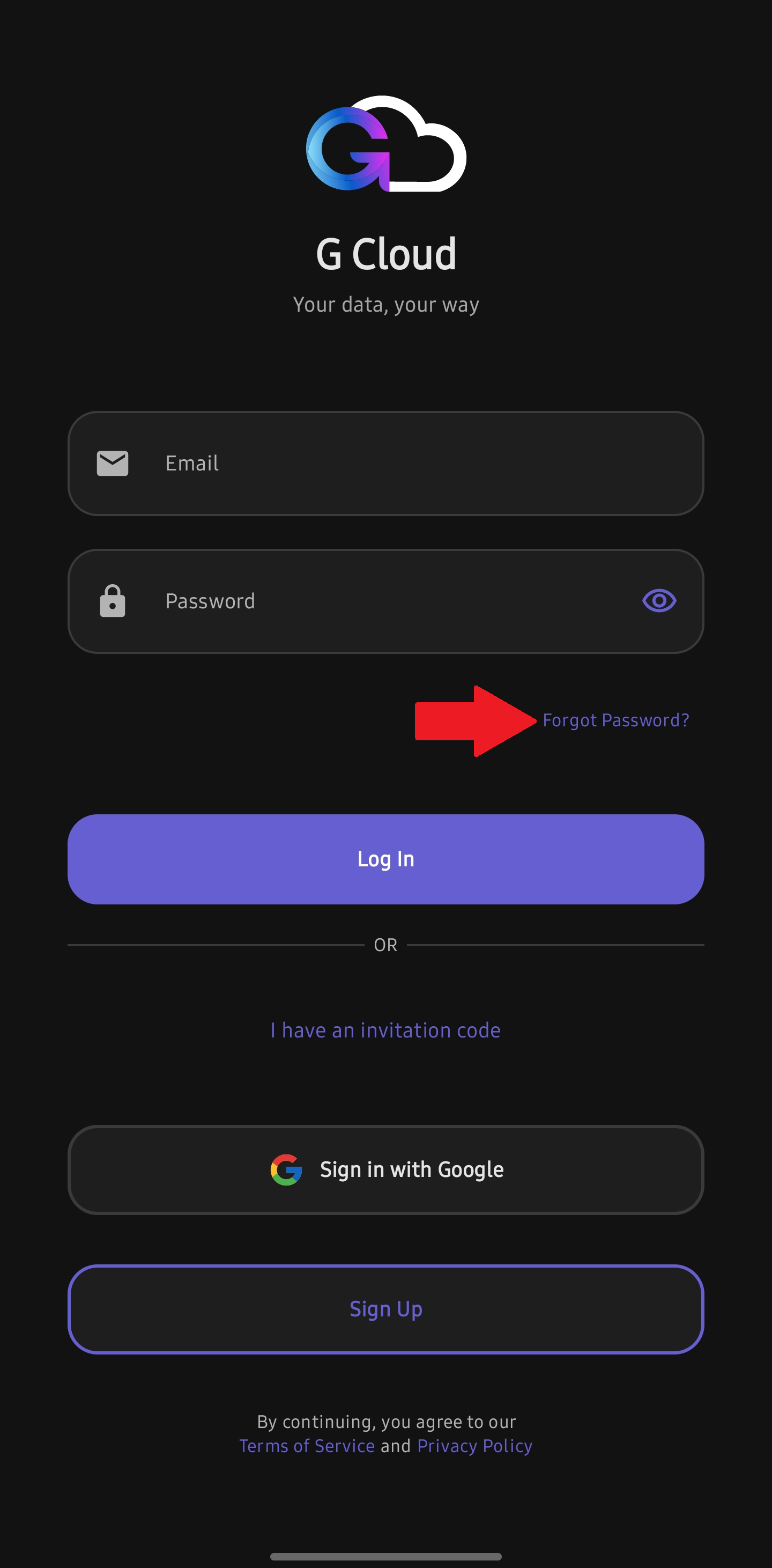 Forgot Password Option